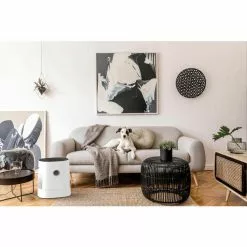 BONECO Air Washer W220 Blanc - Purificateur D’air ⋅ Laveur D’air -Climatisation Soldes 10667615 3 d 1