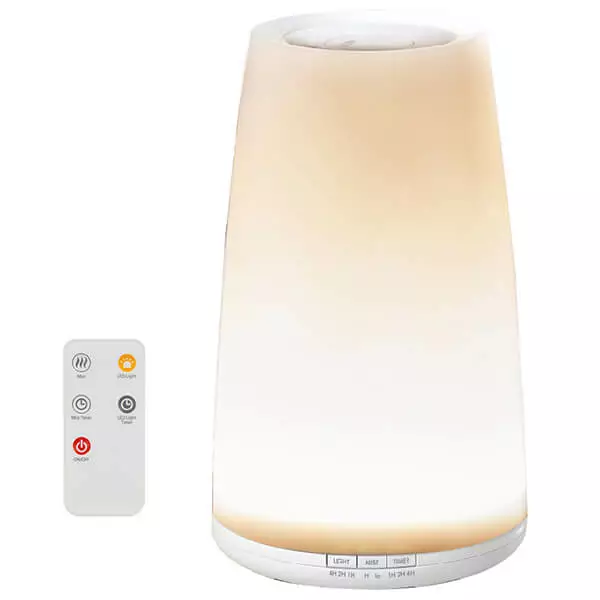 Well Feeling EAS-DS20U-ZA - Humidificateur D'air 1 Well Feeling EAS-DS20U-ZA - Humidificateur D'air